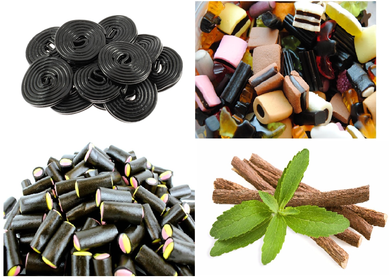 Liquirizia: la pianta, le virtù, le pecche - Antonella Carini