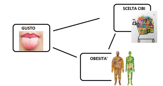 Differenza Tra Esocrino Ed Endocrino