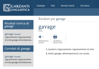 gavagesignificato